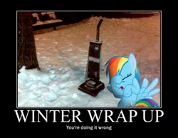 Size: 500x387 | Tagged: caption, demotivational poster, derpibooru import, facehoof, fail, funny, image macro, irl, meme, photo, rainbow dash, safe, solo, text, vacuum cleaner, winter wrap up, you're doing it wrong