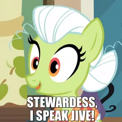 Size: 700x700 | Tagged: safe, derpibooru import, screencap, granny smith, earth pony, pony, apple family reunion, airplane!, caption, cropped, female, image macro, mare, meme, solo, text, young granny smith, younger