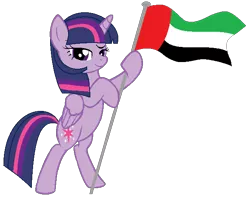 Size: 628x503 | Tagged: safe, artist:imusic-4life, derpibooru import, twilight sparkle, twilight sparkle (alicorn), alicorn, pony, female, flag, mare, national flag, solo, united arab emirates