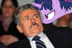 Size: 990x660 | Tagged: derpibooru import, massimo d'alema, safe, twilight sparkle