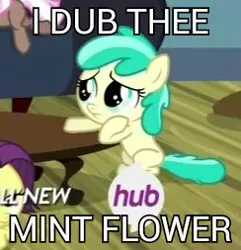 Size: 244x253 | Tagged: safe, derpibooru import, screencap, banana peel (character), brown sugar, mint flower, pony, for whom the sweetie belle toils, 5-year-old, caption, female, filly, hub logo, image macro, meme, naming, solo, text, younger