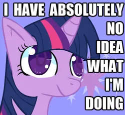 Size: 746x689 | Tagged: artist:omegajim, caption, derpibooru import, edit, i have no idea what i'm doing, image macro, meme, reaction image, safe, solo, text, twilight sparkle