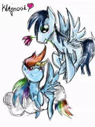 Size: 768x1024 | Tagged: safe, artist:klejnocik, derpibooru import, rainbow dash, soarin', blushing, cloud, female, flower, flying, male, rose, shipping, sketchy, smiling, soarindash, straight, traditional art