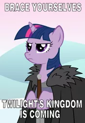 Size: 1025x1470 | Tagged: safe, artist:steampoweredstallion, derpibooru import, twilight sparkle, twilight sparkle (alicorn), alicorn, pony, season 4, twilight's kingdom, a song of ice and fire, brace yourselves, crossover, drama, drama bait, eddard stark, female, game of thrones, hilarious in hindsight, mare, meme, serious, solo, sword, twilight starkle, weapon, winter is coming