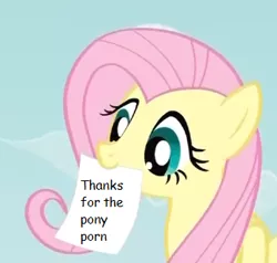 Size: 324x309 | Tagged: derpibooru import, exploitable meme, fluttershy, fluttershy's note meme, meme, mouth hold, solo, suggestive, text, thanks for the pony porn