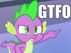 Size: 800x600 | Tagged: caption, derpibooru import, equestria games (episode), gtfo, image macro, meme, safe, screencap, solo, spike, text, vulgar