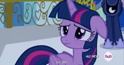 Size: 1536x813 | Tagged: safe, derpibooru import, edit, edited screencap, screencap, twilight sparkle, twilight sparkle (alicorn), alicorn, pony, twilight's kingdom, caption, female, hub logo, mare, meme, youtube caption