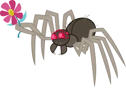 Size: 3513x2477 | Tagged: animal, artist:porygon2z, cute, derpibooru import, flower, fuzzy legs, happy, maud pie (episode), no pony, offering, safe, simple background, smiling, solo, spider, transparent background, vector