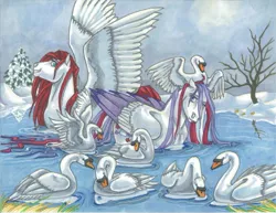 Size: 1997x1543 | Tagged: safe, artist:equigoyle, derpibooru import, paradise, snow'el, bird, pegasus, pony, swan, animal, bare tree, colored wings, colored wingtips, female, g1, g3, mare, realistic anatomy, snow, snow'el ii, spread wings, swimming, traditional art, water, wet, wet mane, wings, winter