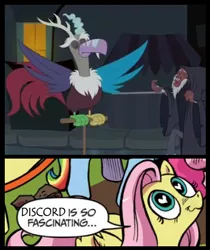 Size: 397x473 | Tagged: safe, derpibooru import, discord, fluttershy, lord tirek, twilight's kingdom, bestiality, discobird, discoshy, exploitable meme, female, flutterzoo, interspecies, male, meme, nature is so fascinating, obligatory pony, shipping, straight