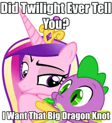 Size: 1062x1170 | Tagged: artist:titanium-pony, cadance's bad pick up lines, caption, derpibooru import, edit, female, image macro, implied foalcon, infidelity, male, meme, princess cadance, shipping, simple background, spike, spikedance, straight, suggestive, text, vector, white background