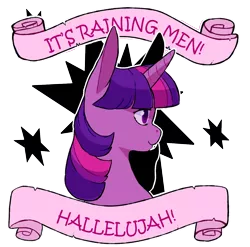 Size: 1214x1200 | Tagged: artist needed, derpibooru import, it's raining men, mouthpiece, old banner, parody, safe, solo, song reference, subversive kawaii, the weather girls, twilight sparkle