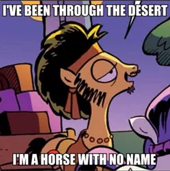 Size: 625x629 | Tagged: a horse with no name, america (band), caption, derpibooru import, exploitable meme, flax seed, hippie, image macro, meme, safe, song reference, text