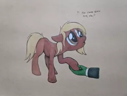 Size: 4032x3024 | Tagged: safe, artist:brisineo, derpibooru import, oc, oc:anon, ponified, ponified:verity, unofficial characters only, earth pony, human, pony, art pack:marenheit 451 post-pack, /mlp/, charity, dialogue, emaciated, female, frown, hand, heartwarming, hoof hold, image, jpeg, offscreen character, ponified horse, simple background, solo focus, starving, text, traditional art, verity, wholesome