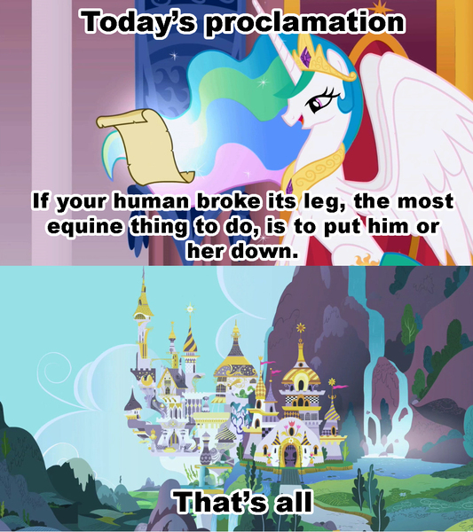 Size: 1021x1149 | Tagged: celestia's proclamation, derpibooru import, euthanasia, exploitable meme, human, meme, princess celestia, role reversal, safe, unnecessary comma