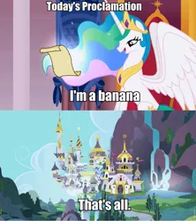 Size: 853x960 | Tagged: banana, caption, celestia's proclamation, derpibooru import, exploitable meme, food, image macro, meme, princess celestia, safe, text