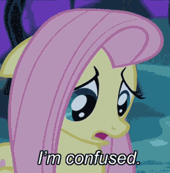 Size: 500x511 | Tagged: animated, bats!, caption, confluttershy, confused, derpibooru import, fluttershy, image macro, reaction image, safe, screencap, solo, text