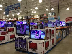 Size: 1280x960 | Tagged: safe, derpibooru import, twilight sparkle, twilight sparkle (alicorn), alicorn, pony, princess twilight sparkle (episode), artificial intelligence, costco, female, imminent assimilation, irl, mare, multeity, oof, photo, pure unfiltered evil, sam's club, shop, so much pony, sparkle sparkle sparkle, store, television, this will end in assimilation, united states, vizio, welcome to the herd, you can not escape