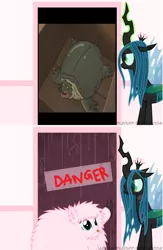 Size: 652x1000 | Tagged: danger, derpibooru import, fluffle puff's closet, meme, oc, oc:fluffle puff, queen chrysalis, safe, the amazing world of gumball, turtle