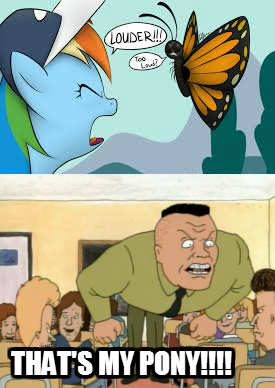 Size: 275x388 | Tagged: artist needed, beavis, beavis and butthead, bradley buzzcut, butterfly, butthead, caption, coach buzzcut, derpibooru import, edit, image macro, meme, rainbow dash, safe, text, that's my x