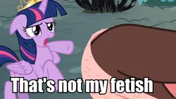 Size: 960x540 | Tagged: safe, derpibooru import, edit, edited screencap, screencap, discord, twilight sparkle, twilight sparkle (alicorn), alicorn, draconequus, pony, princess twilight sparkle (episode), asscord, butt, caption, female, image macro, male, mare, meme, plot, text, that is not my fetish