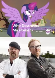 Size: 420x593 | Tagged: safe, derpibooru import, twilight sparkle, twilight sparkle (alicorn), alicorn, pony, adam savage, exploitable meme, female, hub logo, jamie hyneman, mare, meme, mythbusters, obligatory pony, who destroyed twilight's home