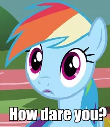 Size: 568x658 | Tagged: caption, derpibooru import, edit, how dare you?, image macro, meme, rainbow dash, safe, screencap, solo, text, text edit