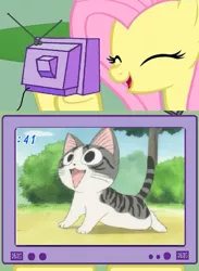 Size: 563x771 | Tagged: cat, chi, chi's sweet home, derpibooru import, exploitable meme, fluttershy, meme, obligatory pony, safe, tv meme