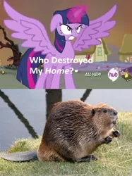 Size: 426x570 | Tagged: safe, derpibooru import, twilight sparkle, twilight sparkle (alicorn), alicorn, beaver, pony, exploitable meme, female, hub logo, mare, meme, obligatory pony, who destroyed twilight's home