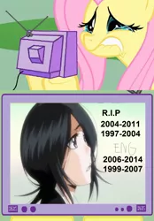 Size: 1198x1725 | Tagged: bleach (manga), crying, derpibooru import, exploitable meme, fluttershy, implied death, kuchiki rukia, meme, obligatory pony, rukia, safe, tv meme