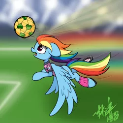 Size: 2000x2000 | Tagged: safe, artist:lightningnickel, derpibooru import, rainbow dash, ponified, pony, /mlp/, 4chan cup, football, frog (hoof), horseshoes, robin van persie, solo, sports, underhoof, world cup