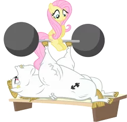 Size: 2029x1944 | Tagged: artist:davidsfire, bulk biceps, derpibooru import, equestria games (episode), fluttershy, safe, simple background, transparent background, vector, weight lifting