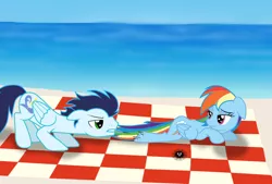 Size: 1024x691 | Tagged: safe, artist:rulette, derpibooru import, rainbow dash, soarin', blood, female, male, sea urchin, shipping, soarindash, straight