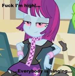 Size: 354x356 | Tagged: safe, derpibooru import, mystery mint, equestria girls, rainbow rocks, background human, drugs, fuck i'm high, marijuana, meme, vulgar