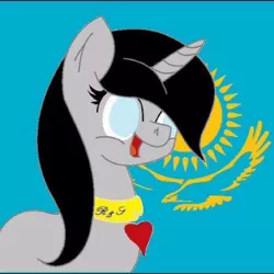 Size: 480x480 | Tagged: because borat, derpibooru import, kazakhstan, not blind >.>, oc, oc:serenity pony, safe, unofficial characters only