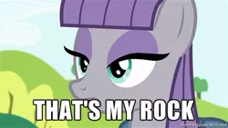 Size: 500x281 | Tagged: derpibooru import, exploitable meme, maud pie, maud pie (episode), meme, memegenerator, reaction image, safe, that's my x