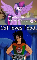 Size: 426x681 | Tagged: safe, derpibooru import, twilight sparkle, twilight sparkle (alicorn), alicorn, pony, cat loves food (yeah yeah yeah yeah), comic sans, crossover, dragon ball z, dragonball, dragonball z abridged, exploitable meme, female, mare, meme, obligatory pony, photoshop, team four star, this will end in tears, vulgar, who destroyed twilight's home, yamcha