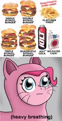 Size: 738x1446 | Tagged: safe, derpibooru import, pinkie pie, earth pony, pony, :|, animal costume, burger, cat costume, cheeseburger, cigarette, clothes, costume, descriptive noise, female, food, french fries, hamburger, heart attack grill, heavy breathing, mare, meat, meme, obligatory pony, pinkie cat, ponies eating meat, text, this will end in death, whiskers, wide eyes