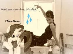 Size: 500x367 | Tagged: safe, derpibooru import, rarity, pony, audrey hepburn, audrity, autograph, breakfast at tiffany's, cutie mark, cutie mark signature, holly golightly, irl, photo, ponies in real life, sepia