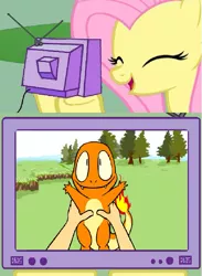 Size: 703x963 | Tagged: charmander, cute, derpibooru import, exploitable meme, fluttershy, meme, obligatory pony, pokémon, safe, this will end in tears, tv meme, twitch plays pokémon