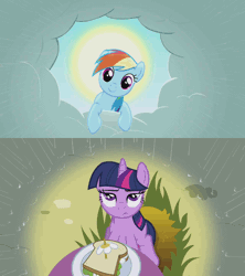 Size: 640x720 | Tagged: safe, derpibooru import, edit, screencap, rainbow dash, twilight sparkle, pony, unicorn, the ticket master, animated, cloud, cloudy, cute, daffodil and daisy sandwich, daisy (flower), dashabetes, duo, eyes closed, female, flower, food, frown, halo, lidded eyes, looking at each other, looking at you, mare, offscreen character, pov, rain, reassurance, sandwich, skeptical, smiling, sun, table, twilight is not amused, unamused, unicorn twilight