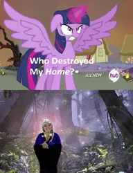 Size: 426x554 | Tagged: safe, derpibooru import, twilight sparkle, twilight sparkle (alicorn), alicorn, pony, exploitable meme, female, mare, meme, nostalgia critic, obligatory pony, small soldiers, who destroyed twilight's home