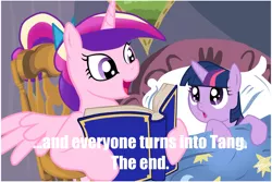 Size: 1024x683 | Tagged: safe, deleted from derpibooru, derpibooru import, princess cadance, twilight sparkle, alicorn, pony, unicorn, bedtime story, book, cadance's bedtime stories, duo, end of evangelion, exploitable meme, looking up, meme, neon genesis evangelion, younger