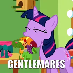 Size: 640x640 | Tagged: apple, artifact, banana, caption, carrot, cherry, derpibooru import, eyes closed, food, fruit, gentlemen, grapes, green isn't your color, image macro, meme, mouth hold, orange, pie, safe, screencap, text, twilight sparkle, vegetables