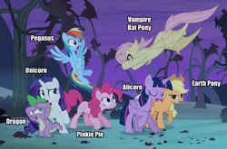 Size: 500x329 | Tagged: safe, derpibooru import, applejack, fluttershy, pinkie pie, rainbow dash, rarity, spike, twilight sparkle, twilight sparkle (alicorn), alicorn, bat pony, dragon, earth pony, pegasus, pony, unicorn, vampire, bats!, bat ponified, cowboy hat, diversity, eyes closed, female, flutterbat, flying, hat, impact font, male, mane seven, mane six, mare, race swap, species