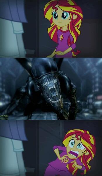 Size: 596x1024 | Tagged: safe, derpibooru import, sunset shimmer, alien, xenomorph, equestria girls, alien (franchise), alien: isolation, exploitable meme, meme, sunset screamer