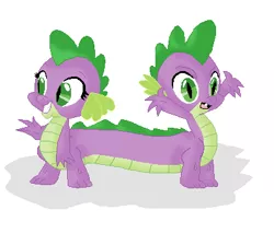 Size: 397x355 | Tagged: amphisbæna, artist needed, barb, catdog, conjoined, conjoined twins, derpibooru import, dragon, fused, fusion, i dont even, multiple heads, original species, pushmi-pullyu, r63 paradox, rule 63, safe, spike, taur, together forever, transformation, wat, we have become one