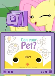 Size: 562x770 | Tagged: can your pet, derpibooru import, exploitable meme, fluttershy, fs doesn't know what she's getting into, meme, obligatory pony, safe, this will end in tears, tv meme