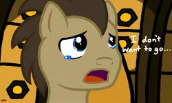Size: 1023x614 | Tagged: artist:thatphantomguy, crying, derpibooru import, doctor who, doctor whooves, i don't want to go, regeneration, safe, solo, tenth doctor, the end of time, time turner