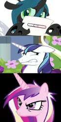 Size: 482x965 | Tagged: chrysalis' note, derpibooru import, exploitable meme, female, infidelity, infidelity armor, male, meme, pregnancy test, princess cadance, queen chrysalis, safe, shining armor, shining chrysalis, shipping, straight